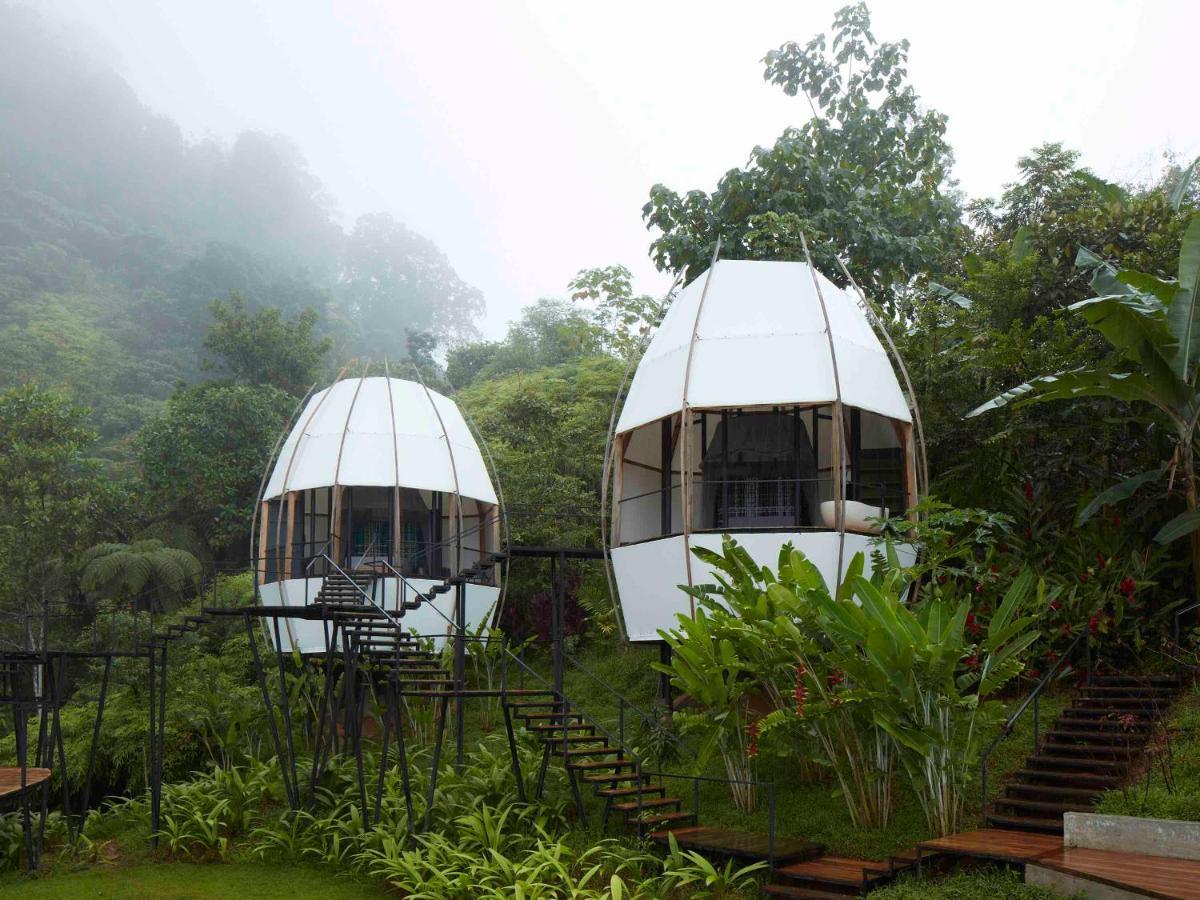 Art Villas Costa Rica, Villas & Glamping Увіта Екстер'єр фото