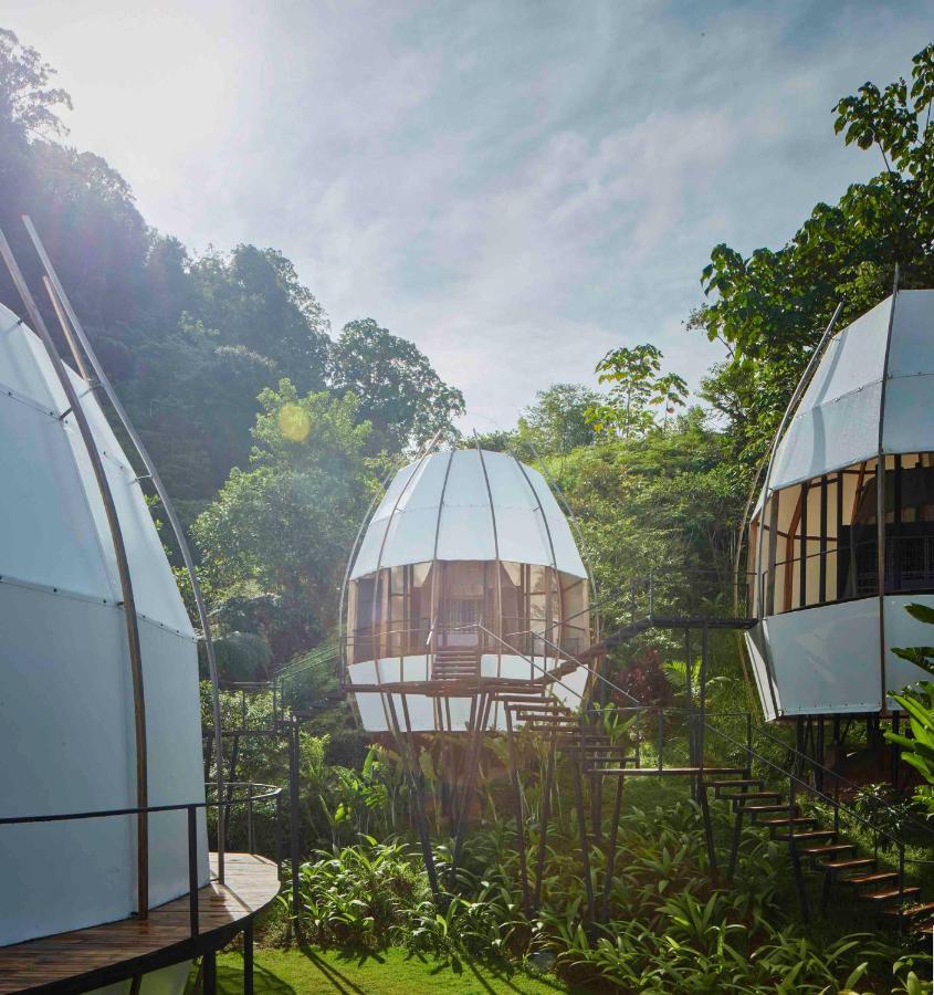 Art Villas Costa Rica, Villas & Glamping Увіта Екстер'єр фото