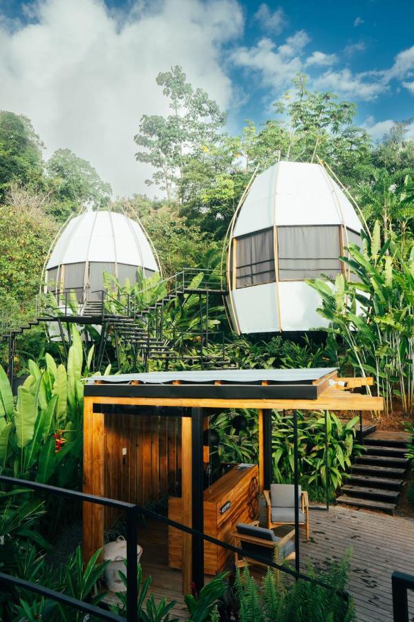 Art Villas Costa Rica, Villas & Glamping Увіта Екстер'єр фото
